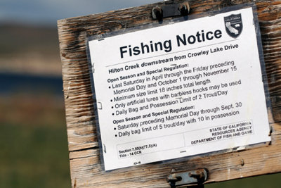 Gone Fishing