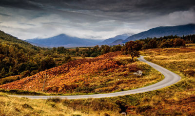 Autumn in the Glen