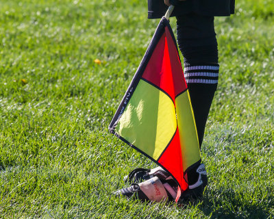 Referee's Flag