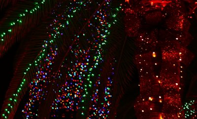 Palm Tree Christmas