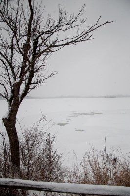 Blizzard On The Lake