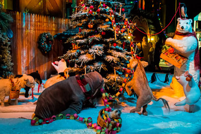 Animal Christmas