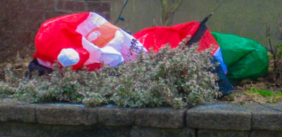The day after Christmas