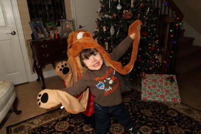 Santa's Bear