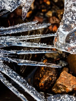 The Hand of Winter