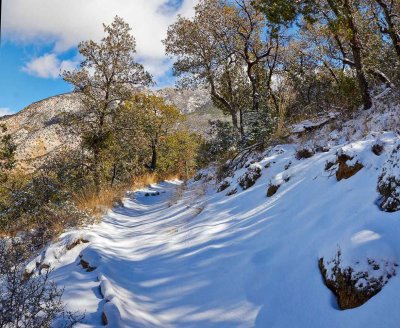 Breaking Trail