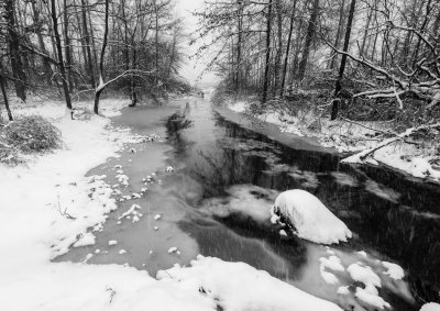 5th<br>Stream in Snow<br>by Peterk