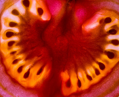 Tomato Innards 