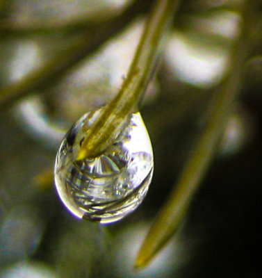 Frozen droplet