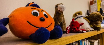 Oranges and Mustangs and Tigers and Owls and Buffaloes, oh my!