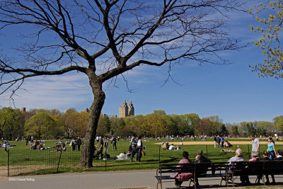 NYCspring2