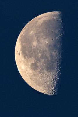 Front Yard Moon