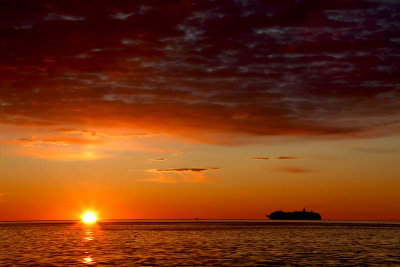 Sea Cruise