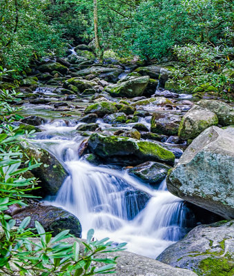 Clear Mountain Stream