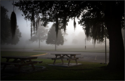 A Wet & Foggy Friday Morning