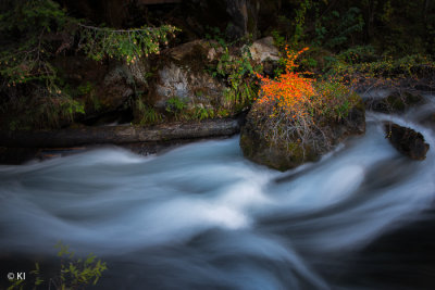 Study - Water. Confrontation
