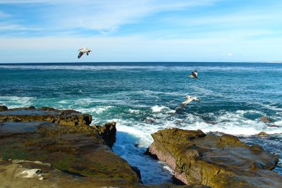 Fly By