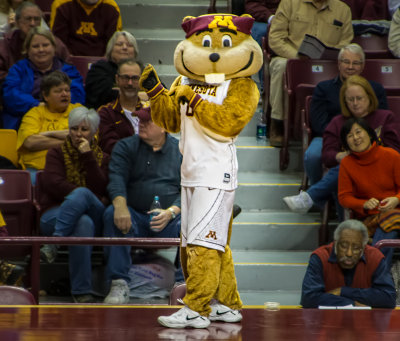 Goldy Gopher