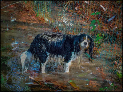 Wet Ellie!