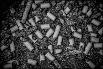 Making An Ash of Yourself