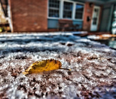 Fall Overtaken by Winter