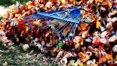 4th Place - Fall Cleanup
