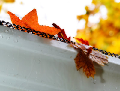 Keep Out Of My Gutters