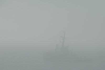 Tug in the Fog