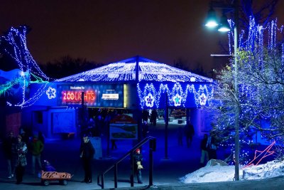 Welcome to Zoolights 2015
