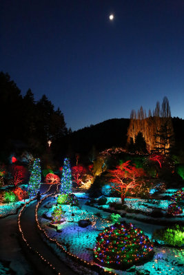 3rd Place (Tie) - Holiday Lighting at Butchart Gardens