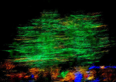 Christmas Trees Display Abstract