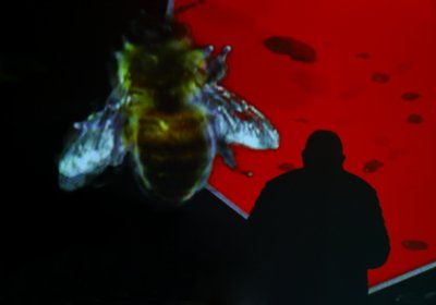 Artist Amist Giant Honeybees 