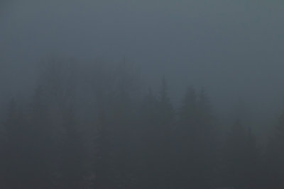 Almost lost in the Fog