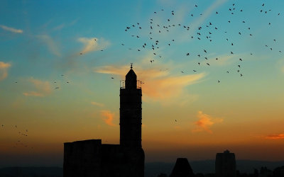 Jerusalem (with birds)