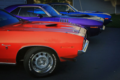 Barracudas