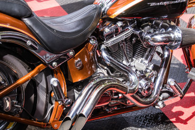 The Heart of The Harley