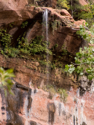 Lower Pool Water Fall 