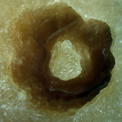 It's Sort of Round, But What Is It?