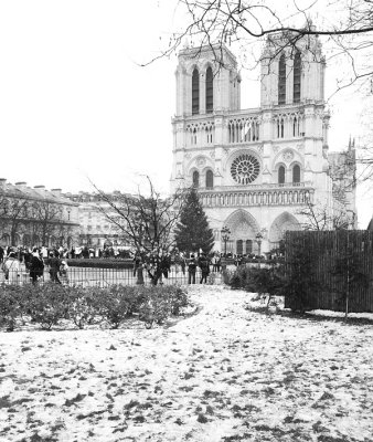 Paris-Winter-Morning