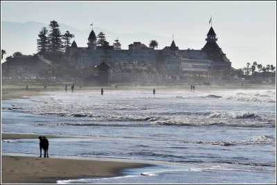 Dog Beach