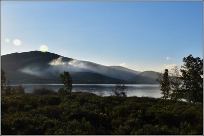 Mist
