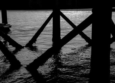 Granville Island Ferry Terminal