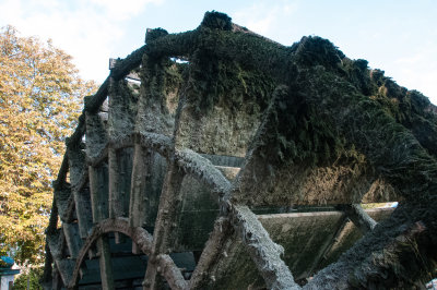 Water wheel on the Sorgue