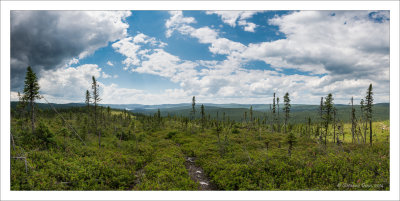 Grand lac Jourdain - Saguenay (juillet 2014)