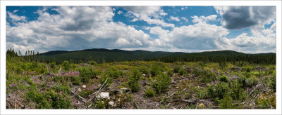 Grand lac Jourdain - Saguenay (juillet 2014)
