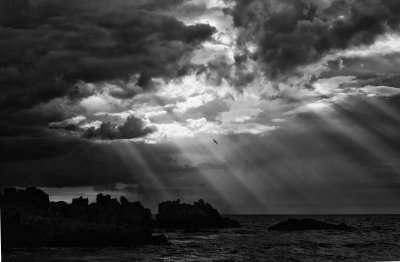 Seascape
