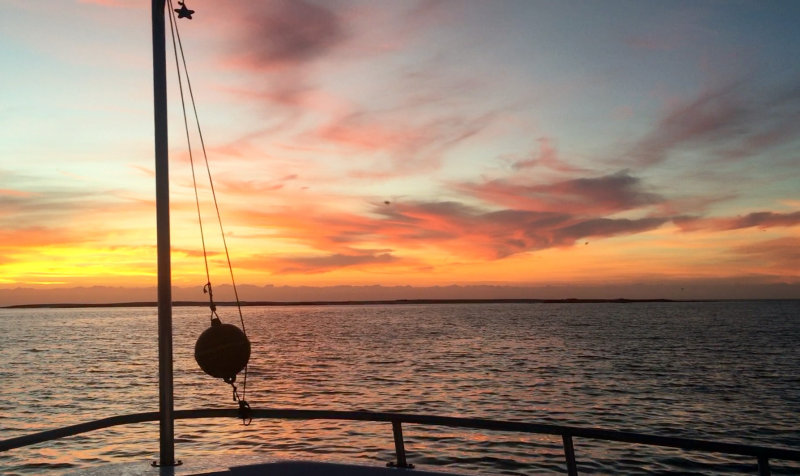 Sunrise