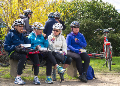 Lunch at Wetteren: the premature end of a very windy ride