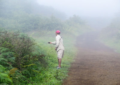 Isabela highlands---calling in the Galpagos Rail