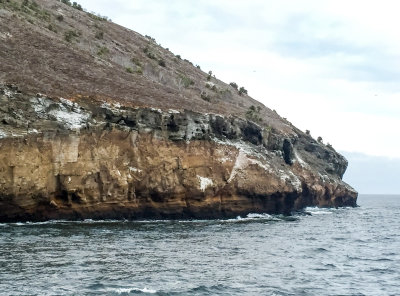 Isla Daphne
